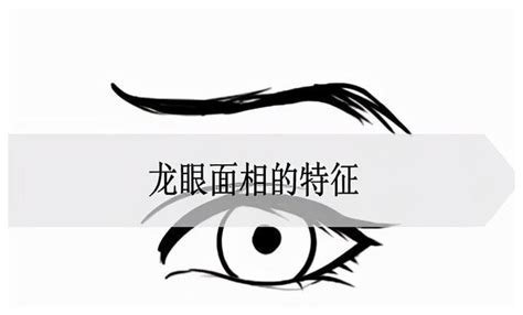 龍眼面相男|龙眼面相案例详解（硬核推荐）